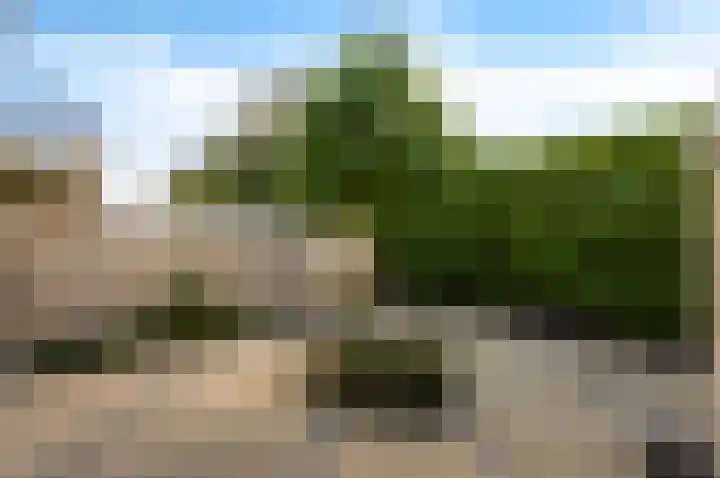Oudelandstraat 68 's-Gravenzande thumbnail 20