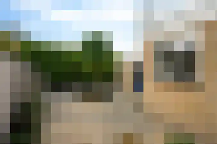 Oudelandstraat 68 's-Gravenzande thumbnail 21