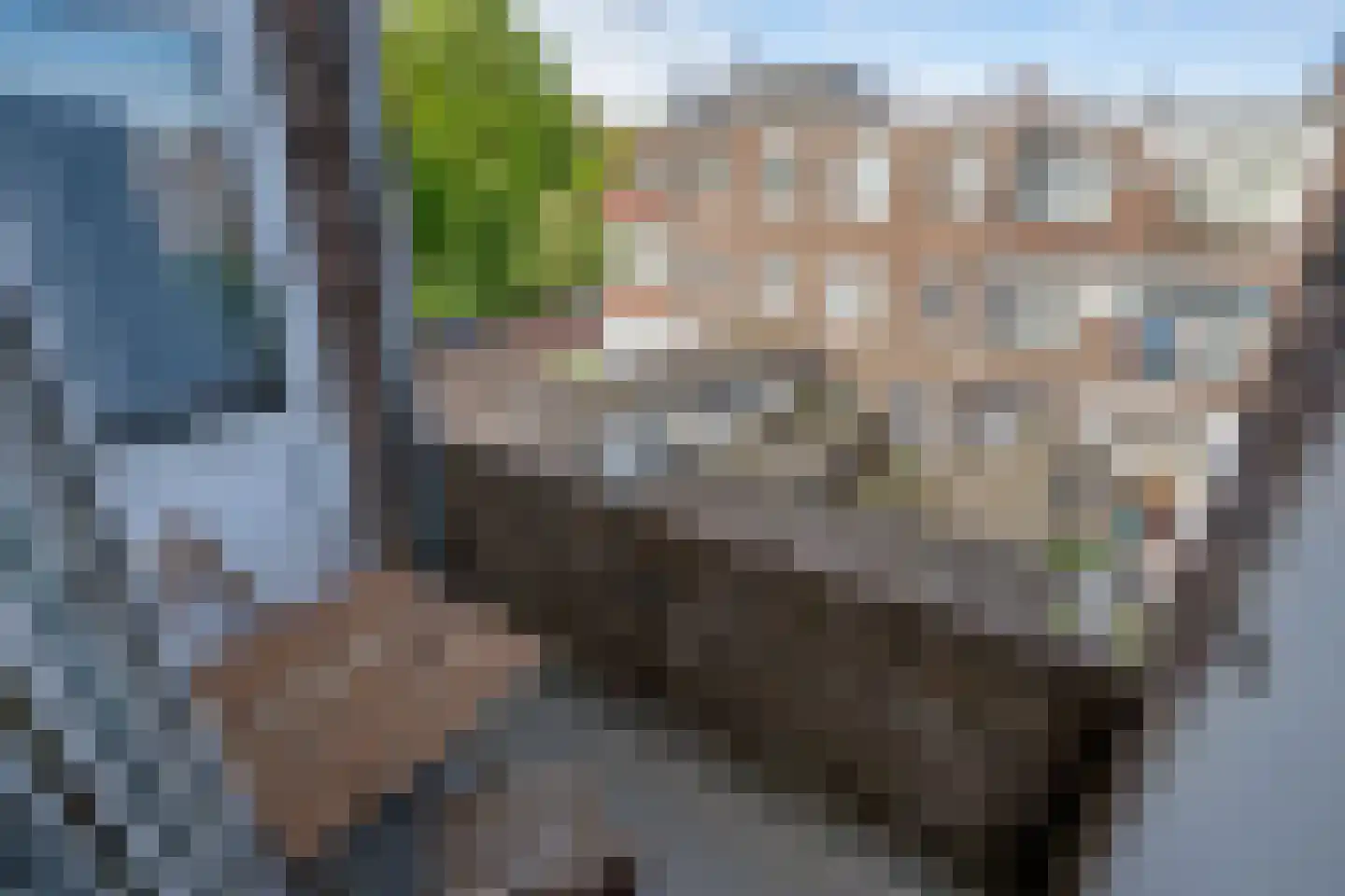 Oudemansstraat 513 Den Haag thumbnail 15