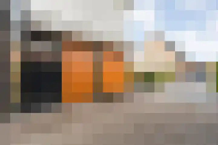 Oudemansstraat 6 Zwolle thumbnail 13