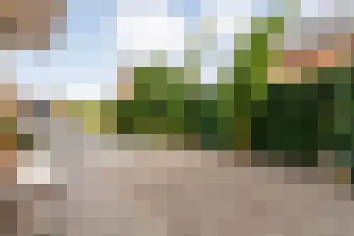 Oudemansstraat 6 Zwolle thumbnail 14