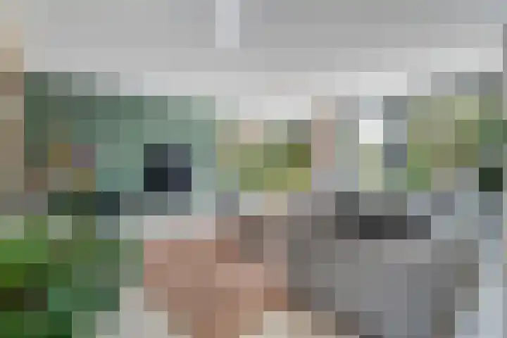 Oudemansstraat 6 Zwolle thumbnail 19