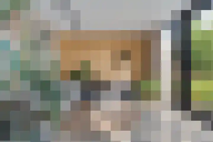 Oudemansstraat 6 Zwolle thumbnail 24