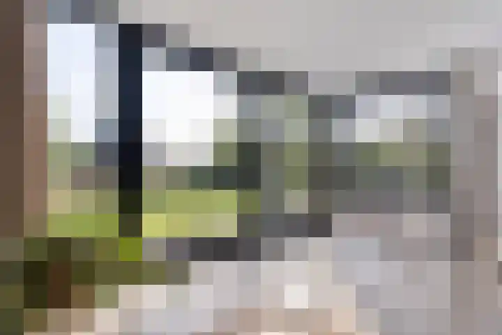 Oudemansstraat 6 Zwolle thumbnail 25