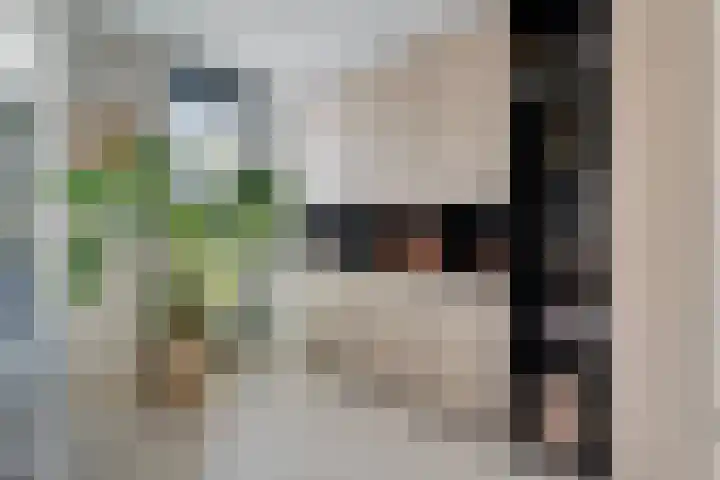 Oudemansstraat 6 Zwolle thumbnail 35