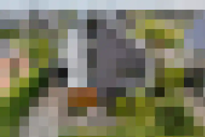 Oudemansstraat 6 Zwolle thumbnail 5