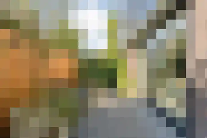 Oudemansstraat 6 Zwolle thumbnail 65