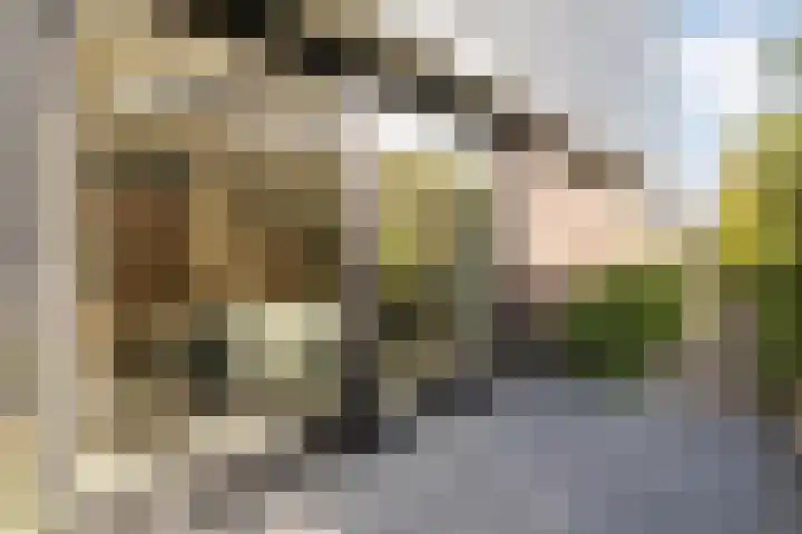 Oudemansstraat 6 Zwolle thumbnail 66