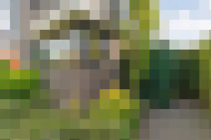 Oudemansstraat 6 Zwolle thumbnail 69