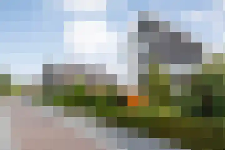 Oudemansstraat 6 Zwolle thumbnail 7
