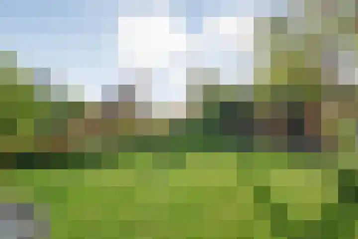 Oudemansstraat 6 Zwolle thumbnail 71