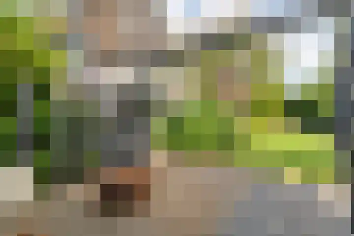 Oudemansstraat 6 Zwolle thumbnail 77