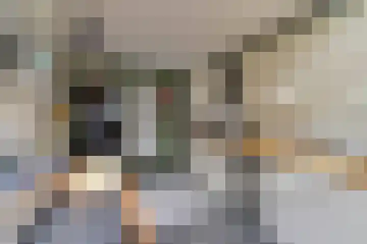 Oudemarktstraat 20 Tegelen thumbnail 7