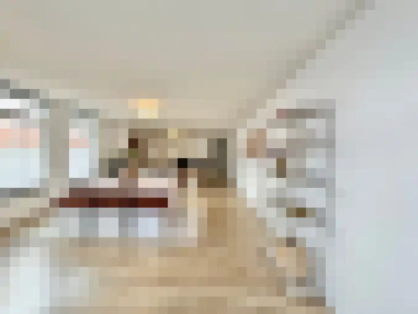 Oudemarktstraat 22 Tegelen thumbnail 10