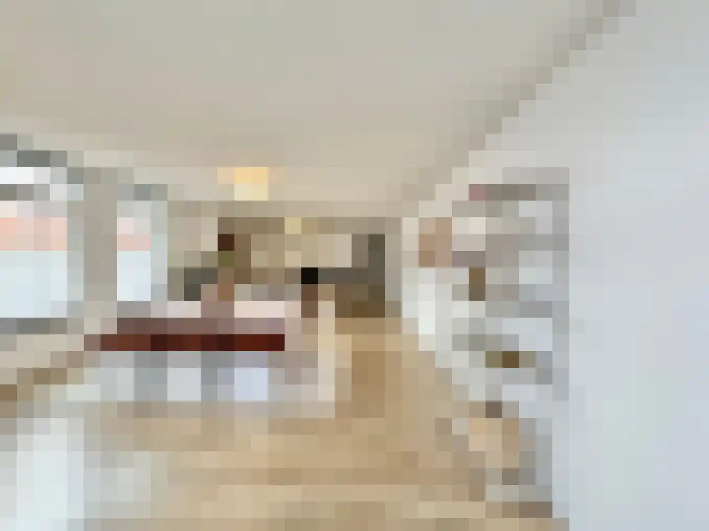 Oudemarktstraat 22 Tegelen thumbnail 12