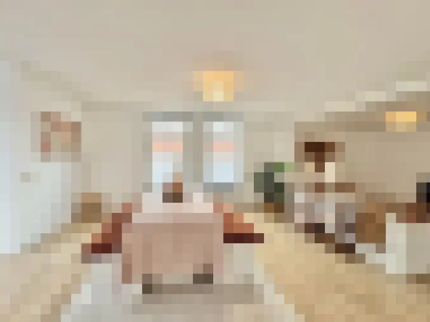 Oudemarktstraat 22 Tegelen thumbnail 15