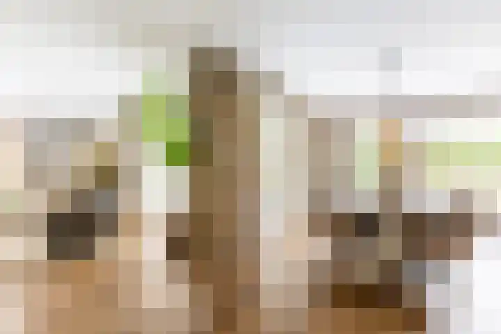 Oudemolensedijk 2 b Fijnaart thumbnail 10