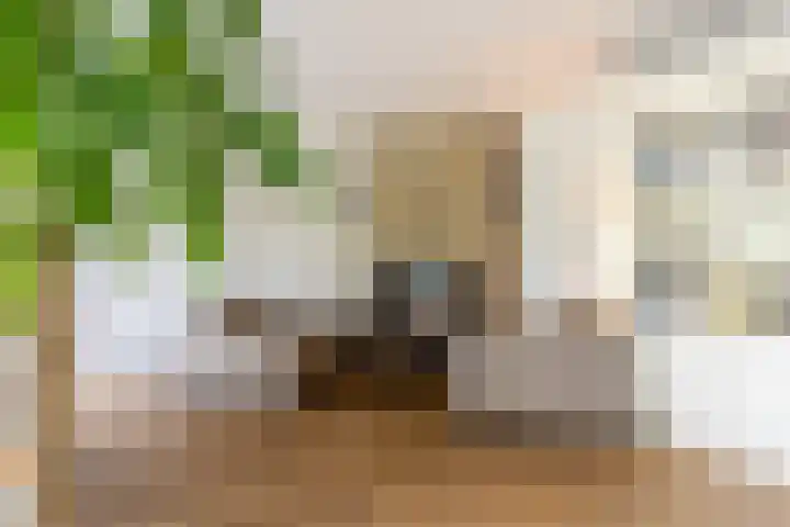 Oudemolensedijk 2 b Fijnaart thumbnail 11
