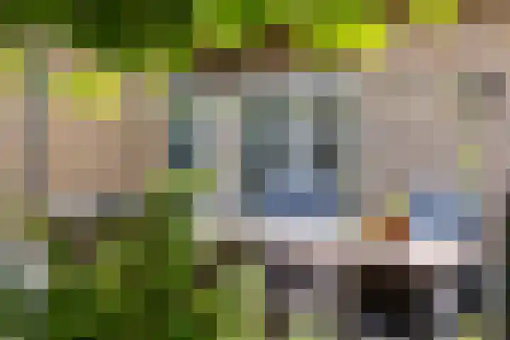 Oudemolensedijk 2 b Fijnaart thumbnail 14