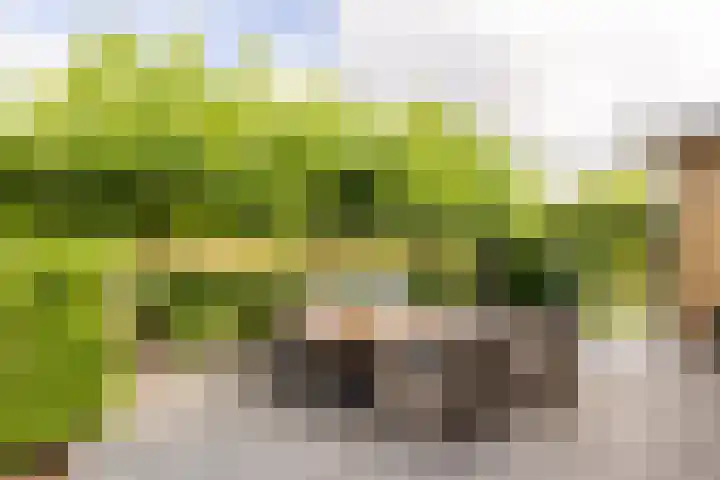 Oudemolensedijk 2 b Fijnaart thumbnail 15