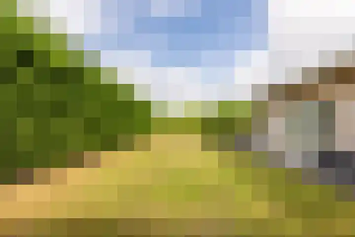 Oudemolensedijk 2 b Fijnaart thumbnail 16