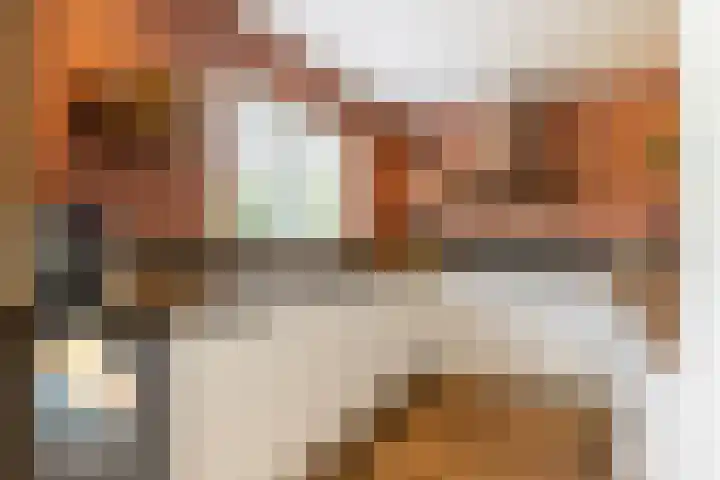 Oudemolensedijk 2 b Fijnaart thumbnail 17