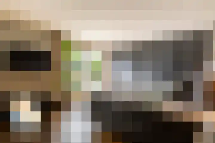 Oudemolensedijk 2 b Fijnaart thumbnail 19
