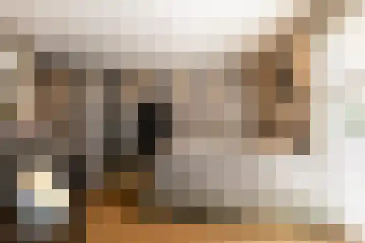 Oudemolensedijk 2 b Fijnaart thumbnail 21