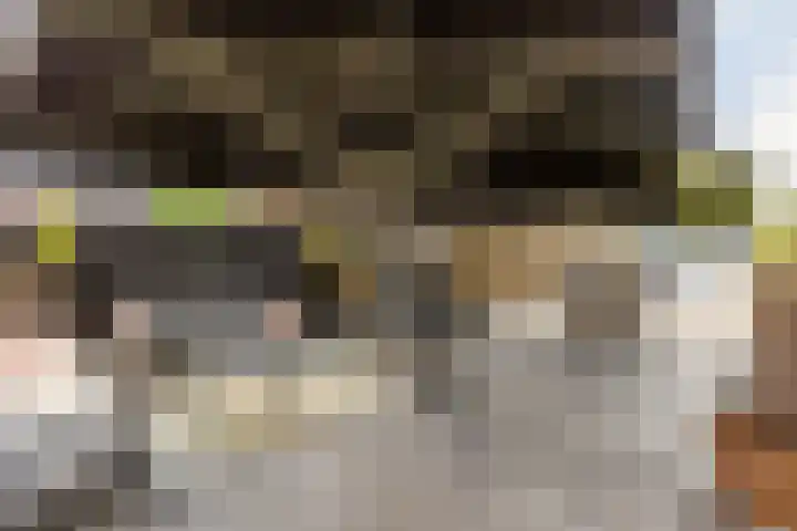 Oudemolensedijk 2 b Fijnaart thumbnail 23