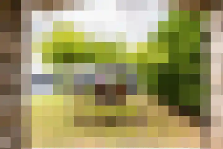 Oudemolensedijk 2 b Fijnaart thumbnail 25