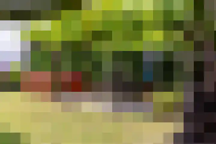 Oudemolensedijk 2 b Fijnaart thumbnail 26