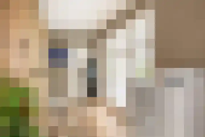 Oudemolensedijk 2 b Fijnaart thumbnail 30