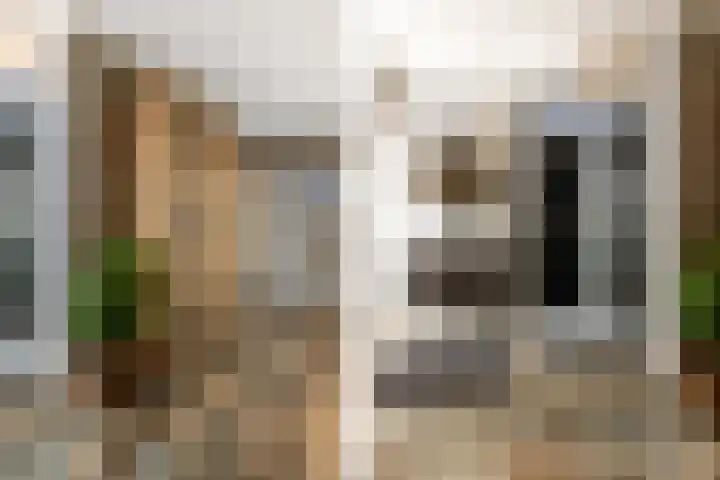 Oudemolensedijk 2 b Fijnaart thumbnail 31