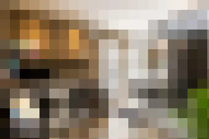 Oudemolensedijk 2 b Fijnaart thumbnail 32