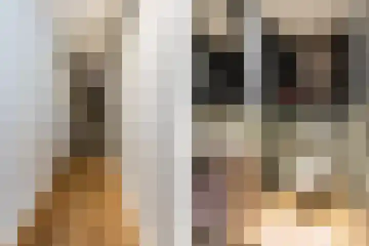 Oudemolensedijk 2 b Fijnaart thumbnail 33