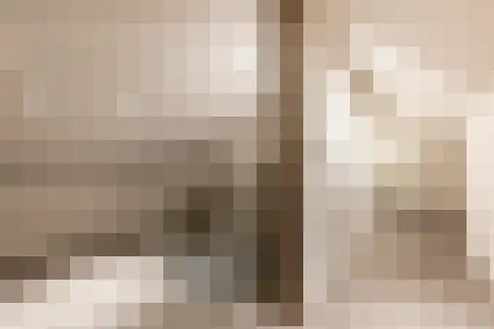 Oudemolensedijk 2 b Fijnaart thumbnail 34