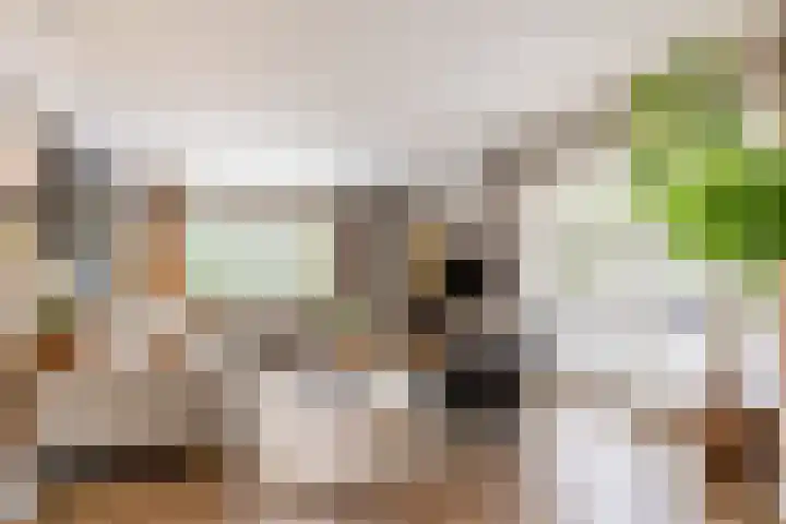 Oudemolensedijk 2 b Fijnaart thumbnail 4