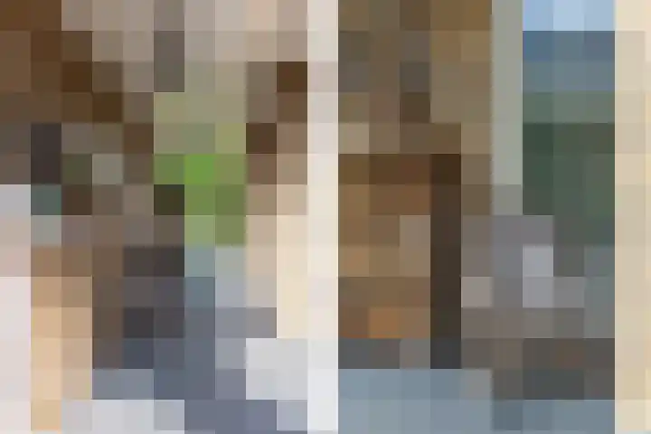 Oudemolensedijk 2 b Fijnaart thumbnail 40