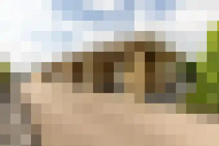 Oudemolensedijk 2 b Fijnaart thumbnail 41