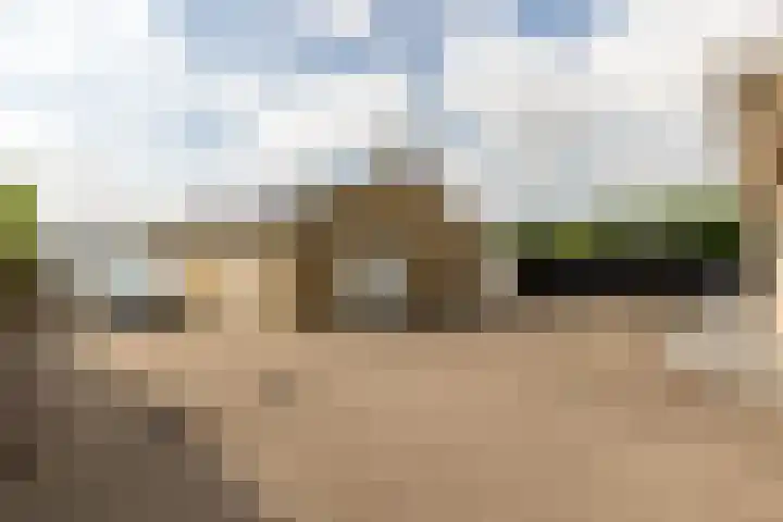 Oudemolensedijk 2 b Fijnaart thumbnail 43