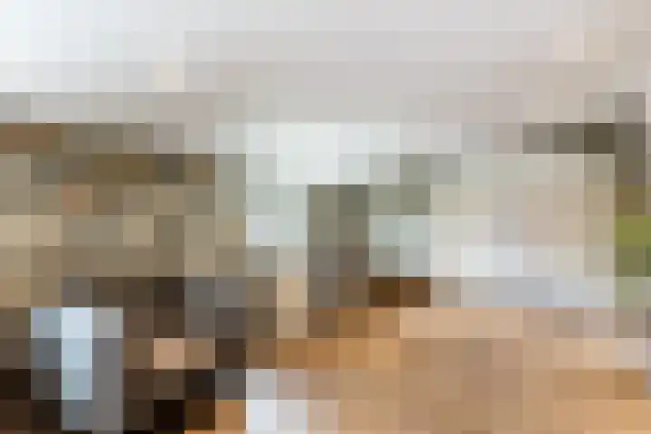 Oudemolensedijk 2 b Fijnaart thumbnail 45