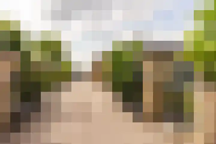 Oudemolensedijk 2 b Fijnaart thumbnail 5