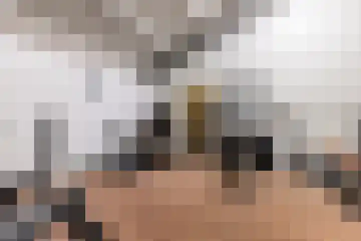 Oudemolensedijk 2 b Fijnaart thumbnail 50