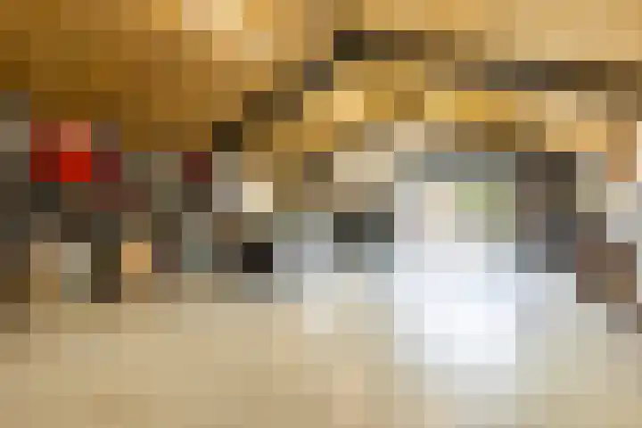 Oudemolensedijk 2 b Fijnaart thumbnail 52