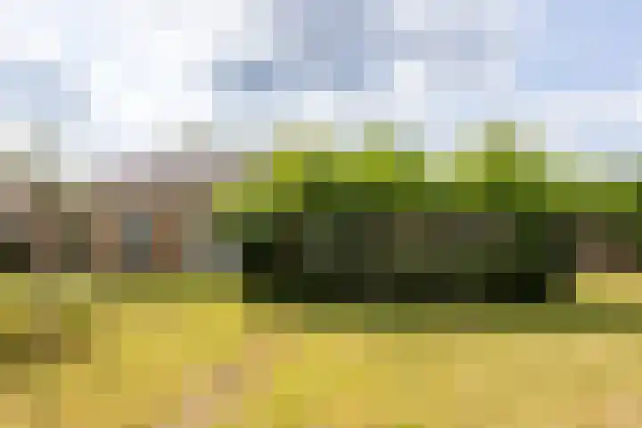 Oudemolensedijk 2 b Fijnaart thumbnail 54