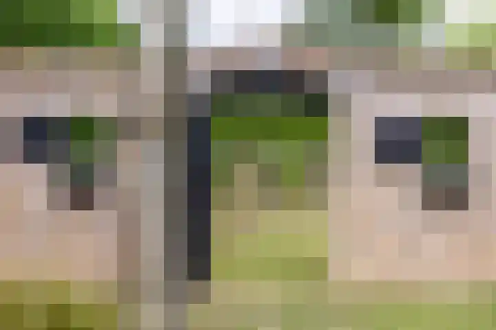 Oudemolensedijk 2 b Fijnaart thumbnail 55