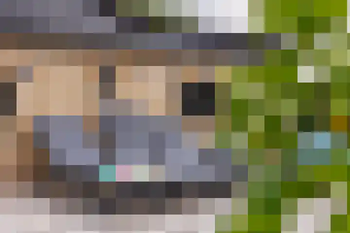 Oudemolensedijk 2 b Fijnaart thumbnail 59