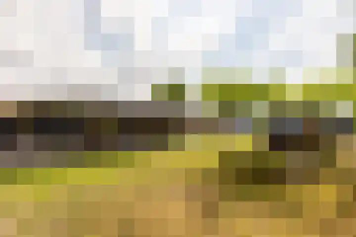 Oudemolensedijk 2 b Fijnaart thumbnail 6