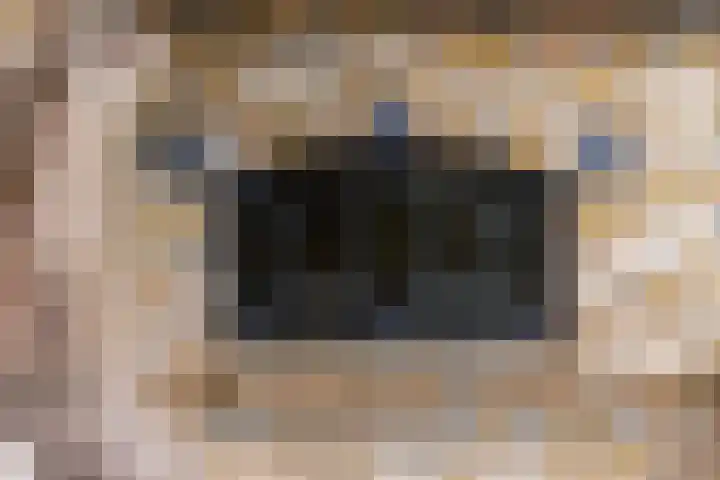 Oudemolensedijk 2 b Fijnaart thumbnail 60
