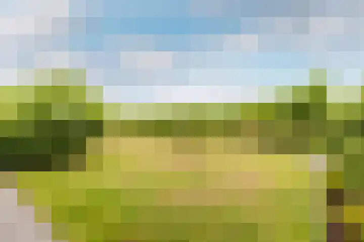 Oudemolensedijk 2 b Fijnaart thumbnail 62